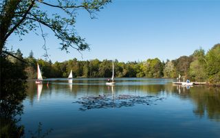 walhampton Lake