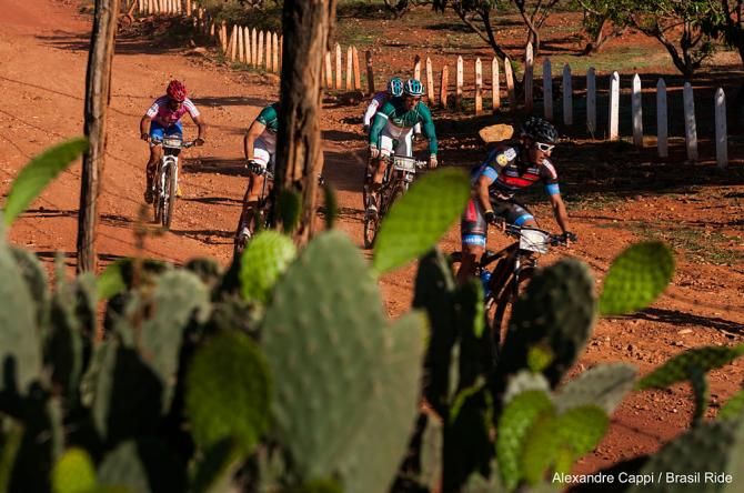 Bikes and nature in Bahia, Brazil