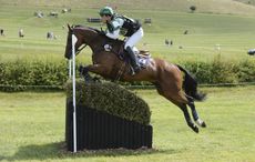 Ryuzo-HorseNo160_Barbury15pn_25720.jpg