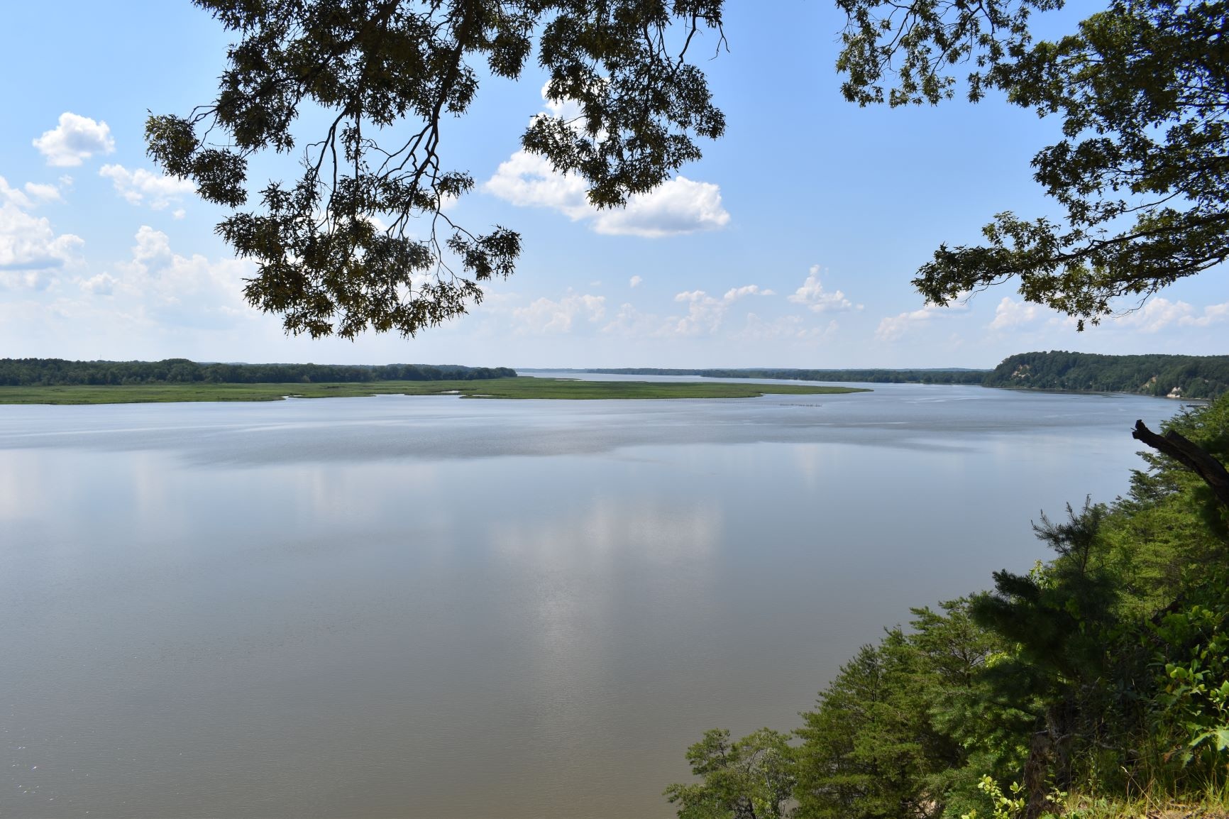 A wide river with trees on its banks