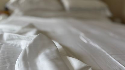 Cozy Earth Bamboo Bedding being tested in my home