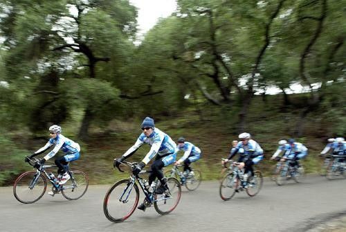 The team rides through the enchanted forest.