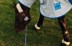 Burghley-4-Derby1.jpg