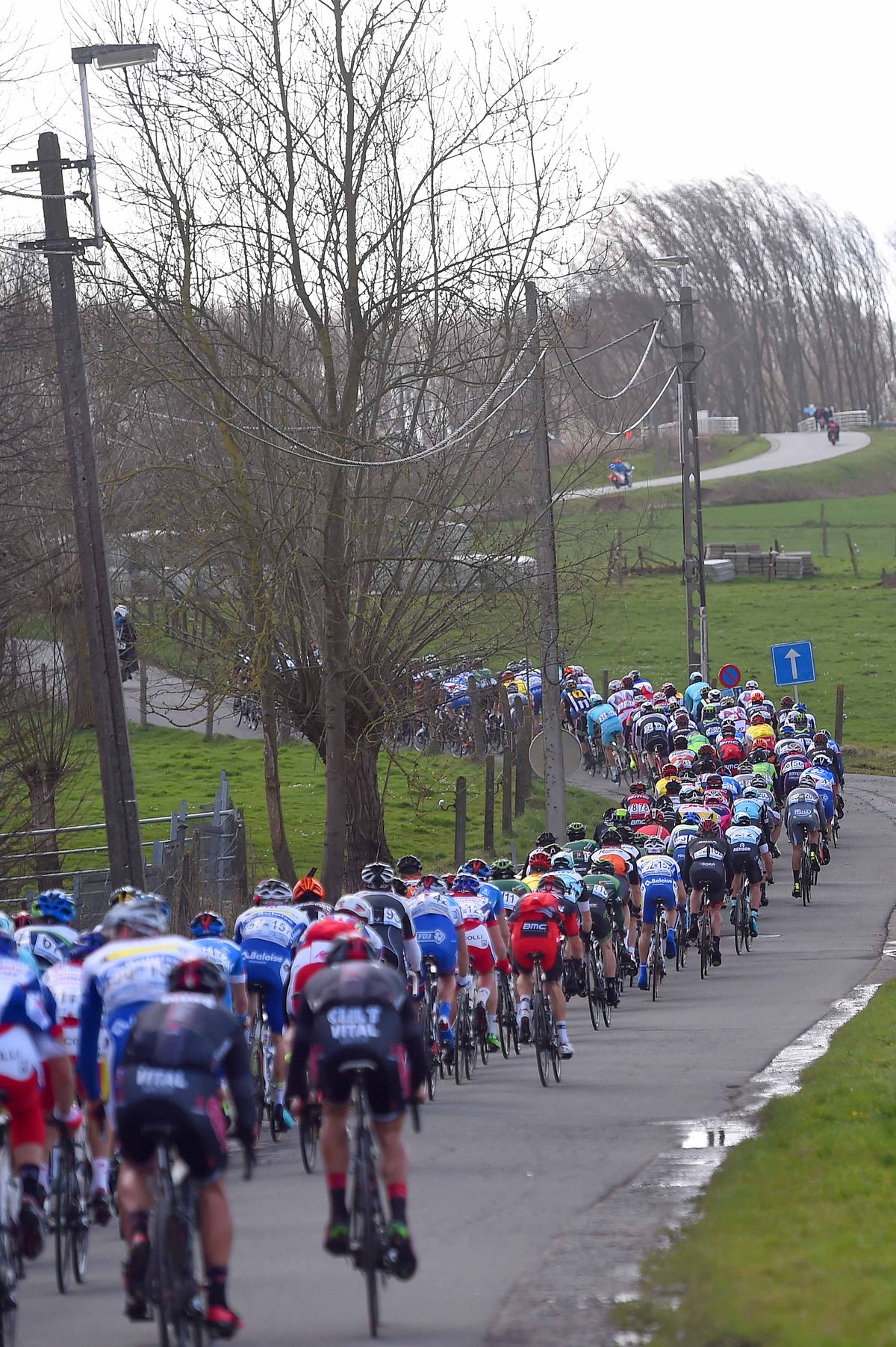 A long strung out peloton