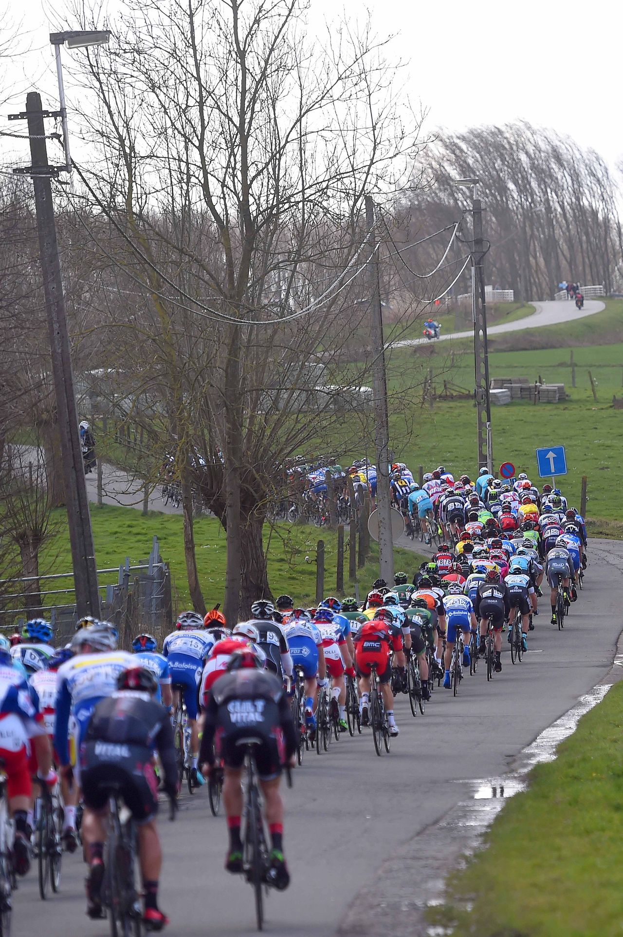 A long strung out peloton