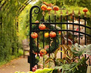 pumpkins decorating gate for halloween