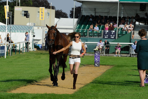 Dee Hankey with Chequers Playboy at the first vet check at The Land Rover Burghley Horse Trials, Stamford UK, September, 2013