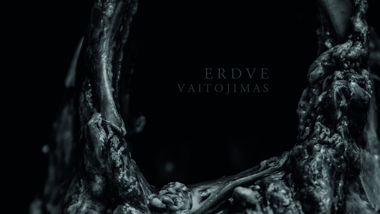 Cover art for Erdve - Vaitojimas album