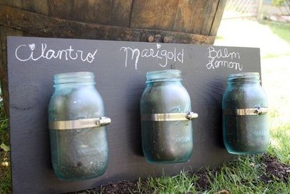 Mason Jar Herb Garden