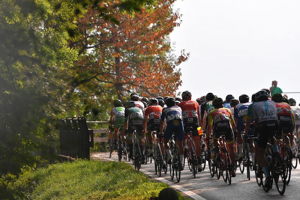 The peloton makes its way past some of the race's namesake leaves