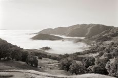 spring mountain district ava, napa valley