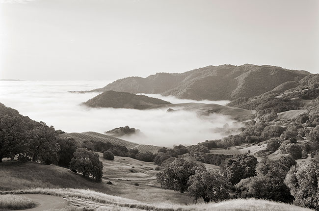 spring mountain district ava, napa valley