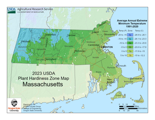 USDA Plant Hardiness Zone Map for Massachusetts