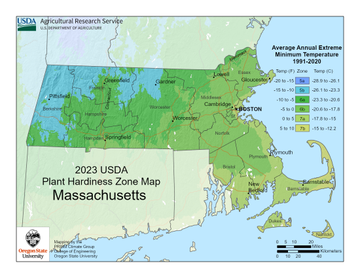 Massachusetts Zone Map For Hardiness And Planting | Gardening Know How