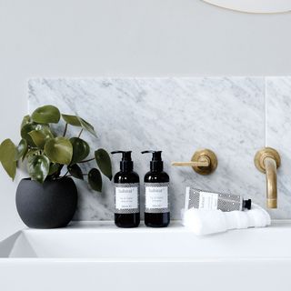 wash basin with hand wash and lotion