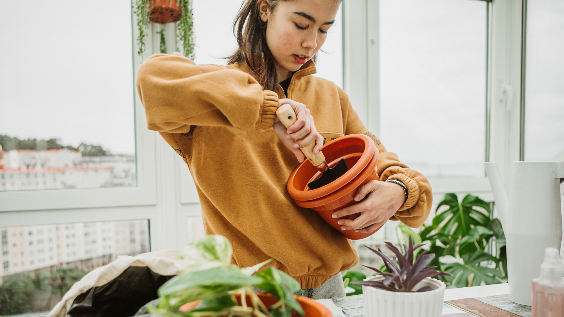 How to clean the air in your home: image of woman potting a plant