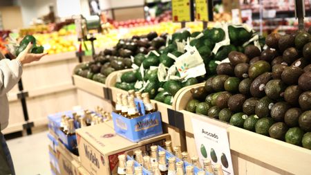 Mexican beer and avocados, both hit by U.S. tariffs