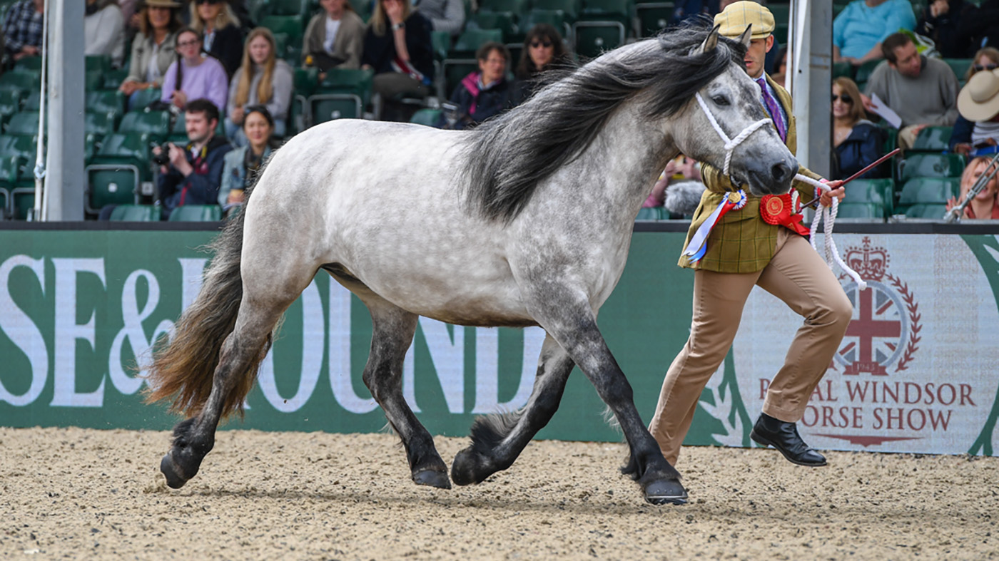 Royal Windsor Horse Show