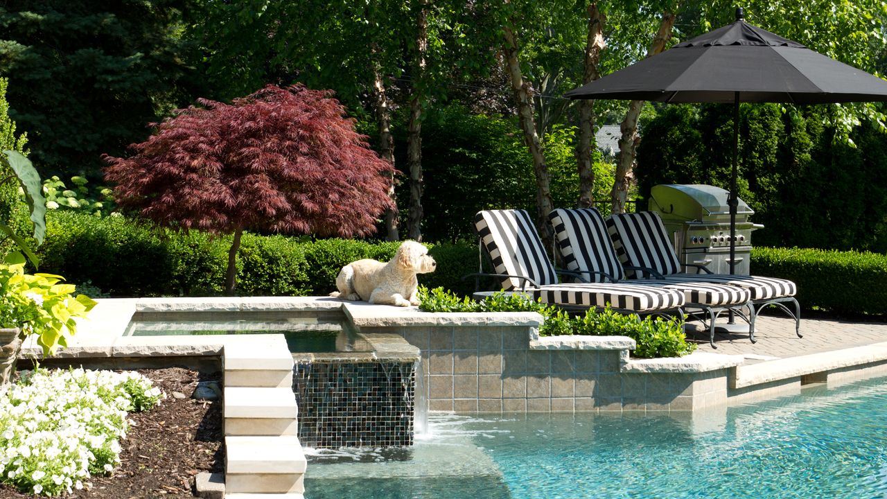 Garden with hot tub, pool, and bbq