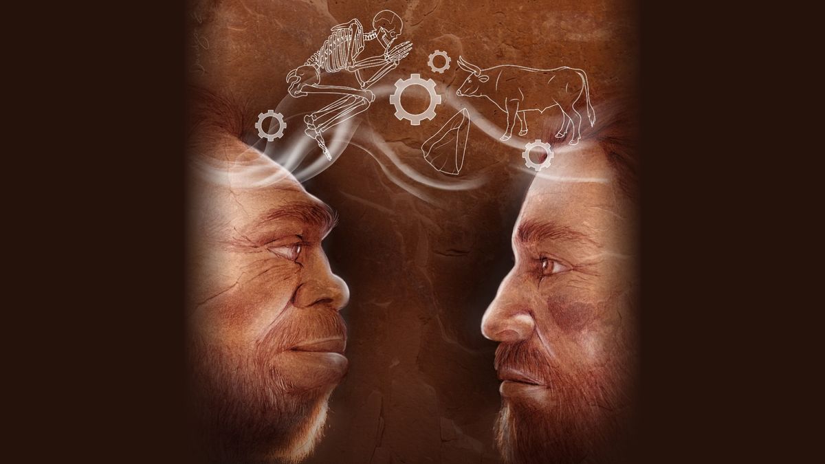 Neanderthals มนุษย์สมัยใหม่และเชื้อสายมนุษย์ลึกลับผสมอยู่ในถ้ำในอิสราเอลโบราณการศึกษาพบ