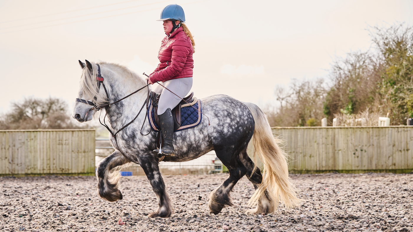 Trotting grey pony in school: getting show horse fit