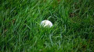 A ball sitting down in the rough on a golf course