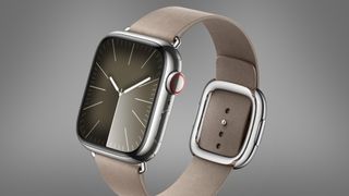 An Apple Watch with an optional strap on a grey background