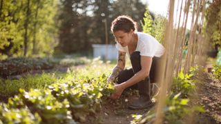 A woman wearing wellies, jeans and a white t-shirt kneeling down planting green plants