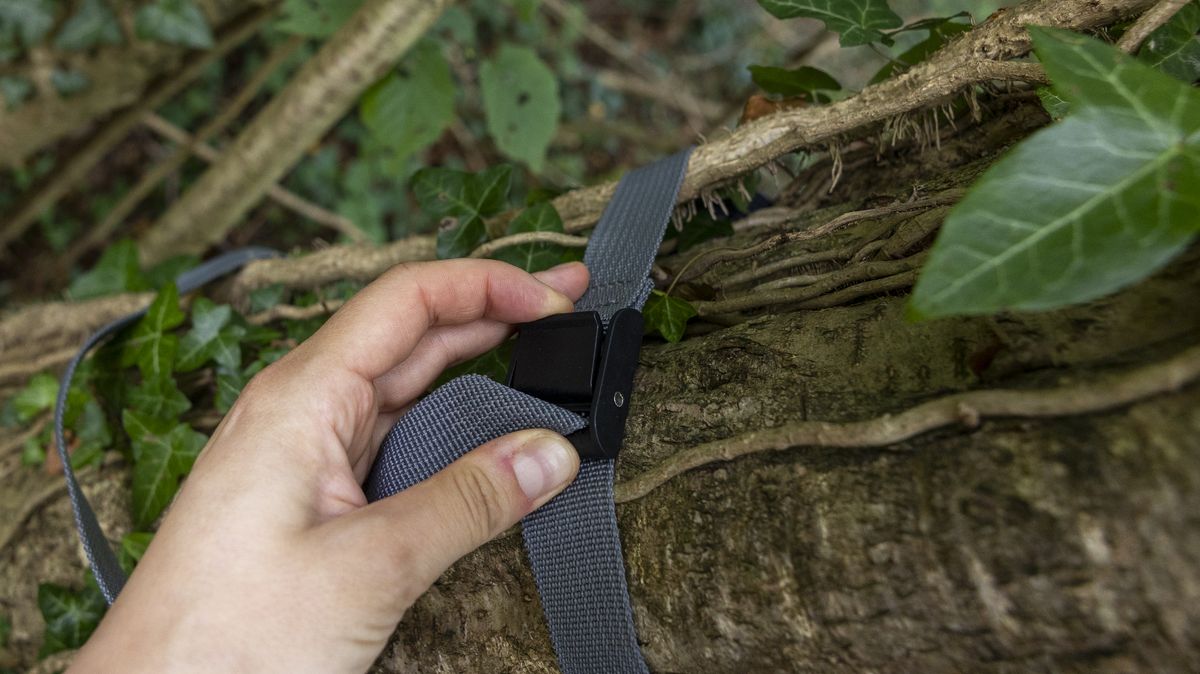 Mounting the Spypoint FLEX-S-Dark trail camera to a tree in a woodland using the strap