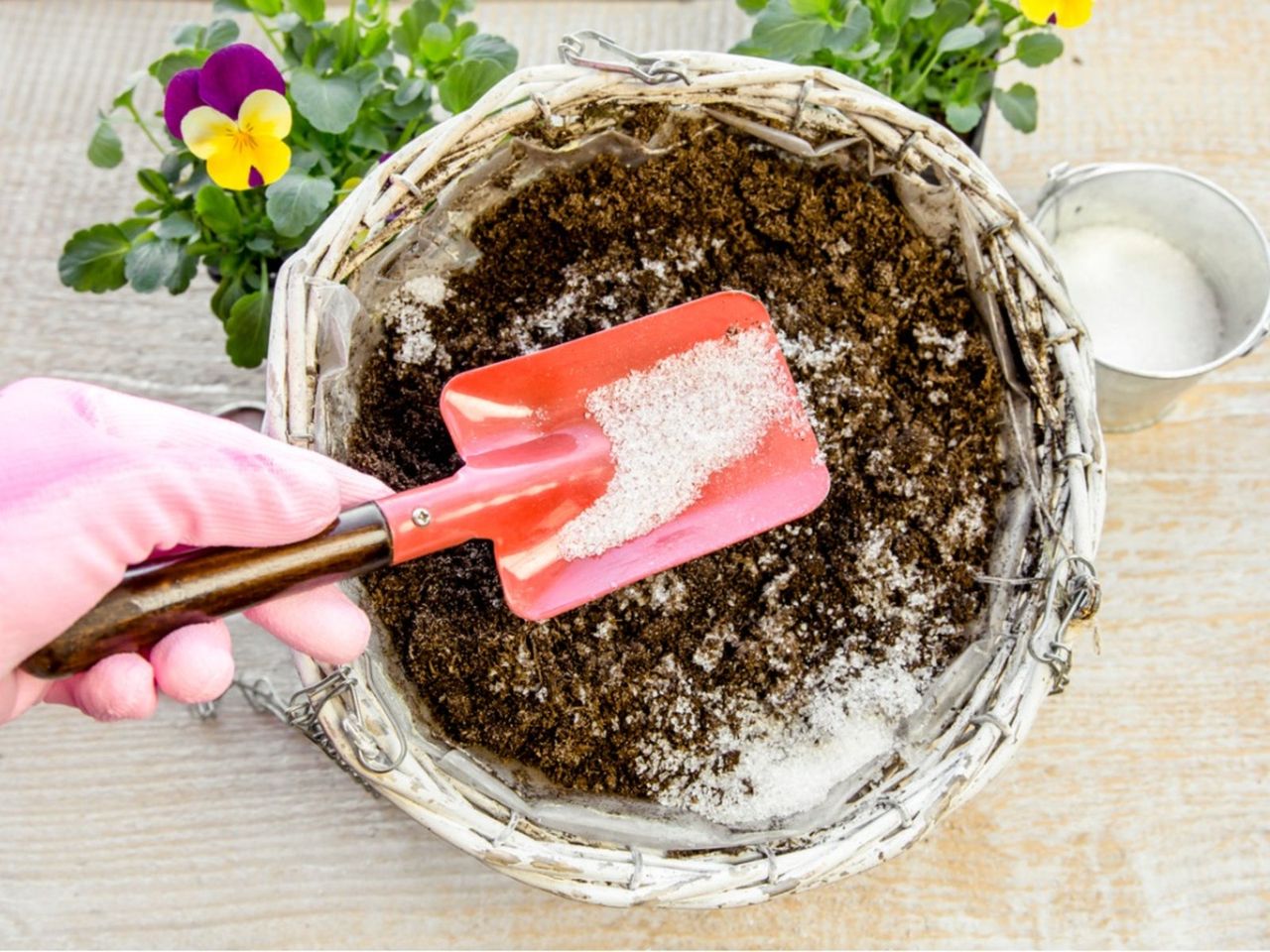 Hydrogels Being Put Into Potted Soil