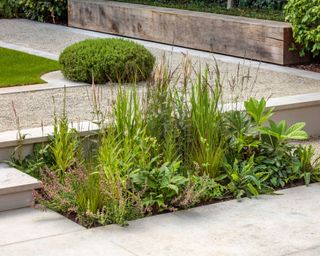 limestone paving and steps with gravel paths and low planting in city garden