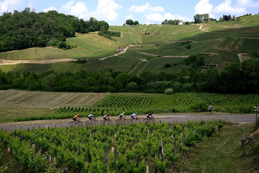 SALINSLESBAINS JUNE 08 A general view Nils Politt of Germany and Team BORA hansgroh Georg Zimmermann of Germany and Team Intermarch Circus Wanty Jonas Gregaard of Denmark and UnoX Pro Cycling Team Thomas De Gendt of Belgium and Team Lotto Dstny Edvald Boasson Hagen of Norway and Team TotalEnergie Leon Heinschke of Germany and Team DSM compete in the breakaway climbing to the Cte de ChteauChalon 448m during the 75th Criterium du Dauphine 2023 Stage 5 a 1911km stage from CormoranchesurSane to SalinslesBains UCIWT on June 08 2023 in SalinslesBains France Photo by Dario BelingheriGetty Images