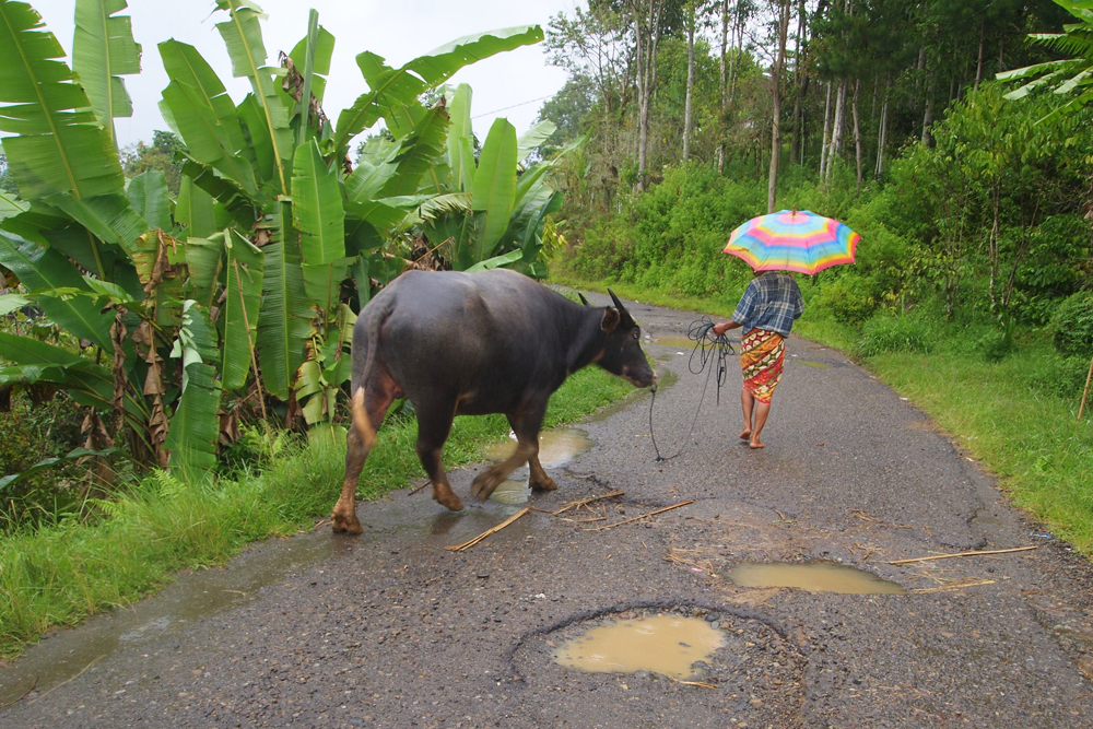 cultures, destinations