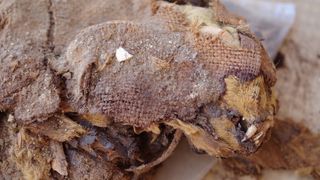 The dry Egyptian desert preserved the remains of this cat buried in a blanket. 