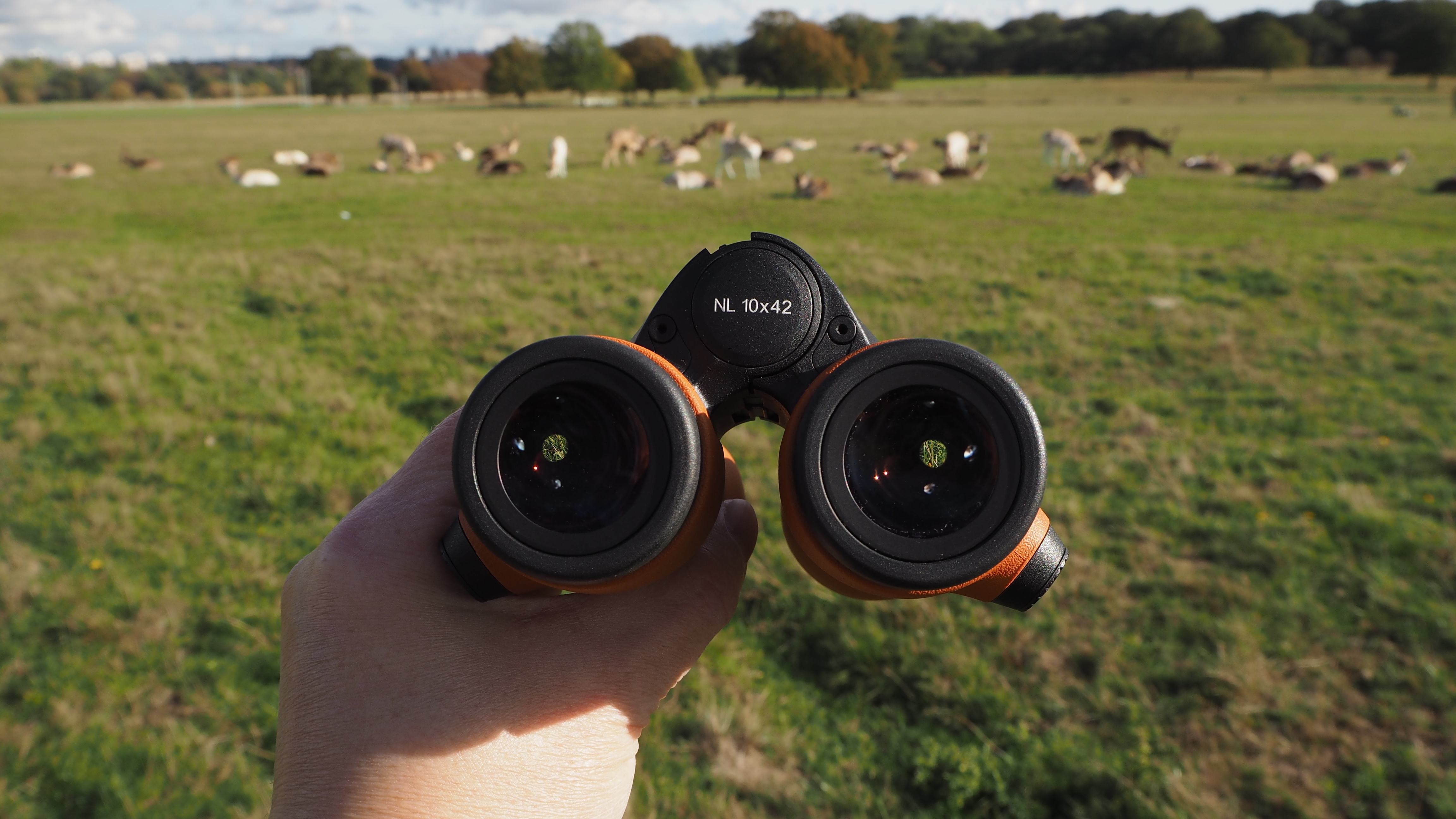 Whether you’re one to follow the herd or observe it from afar, the Swarovski NL Pure 10x42 binos provide a sublime viewing experience with noticeably superior optical quality