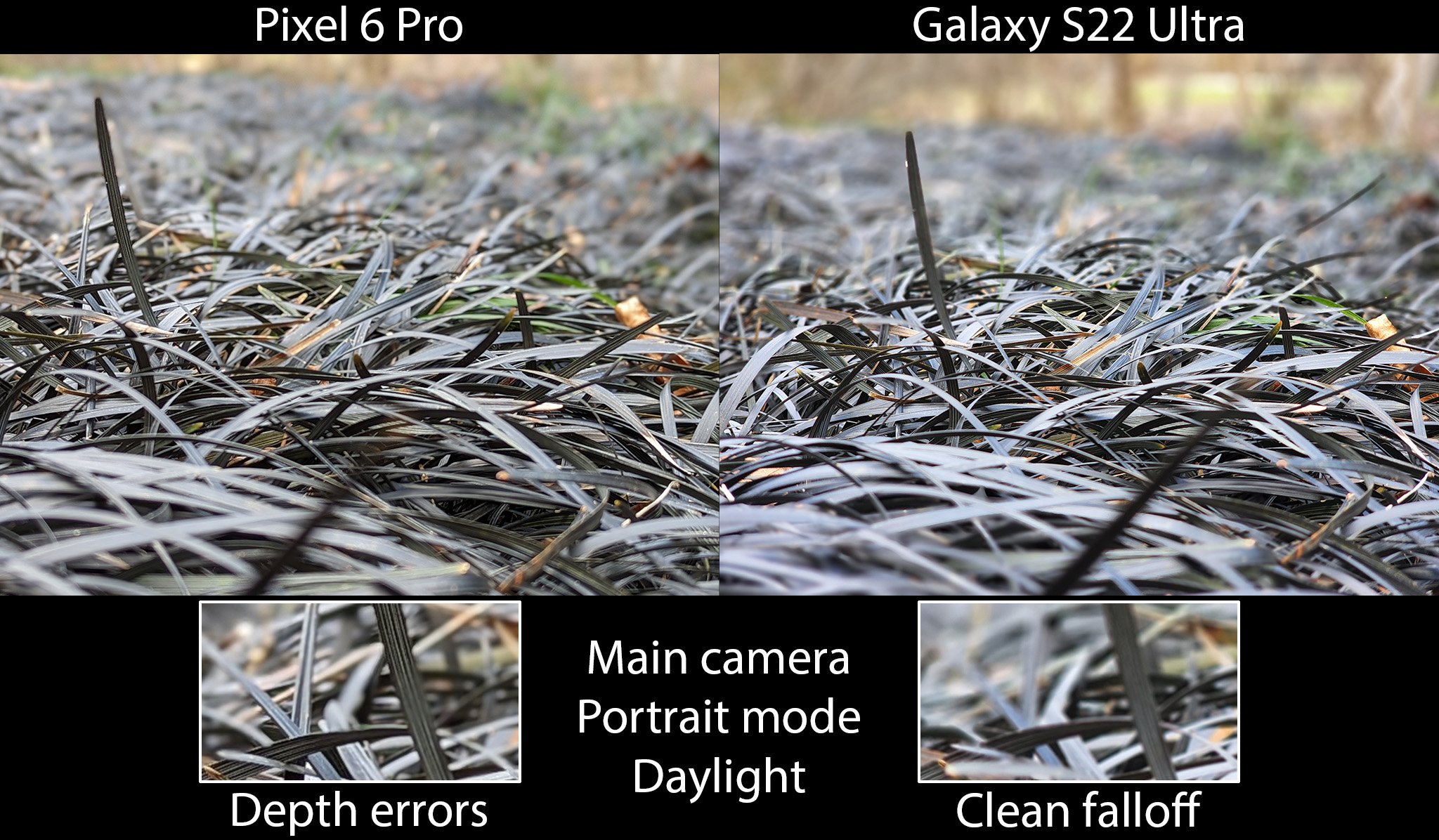 Galaxy S22 Ultra Vs Pixel 6 Pro Portrait