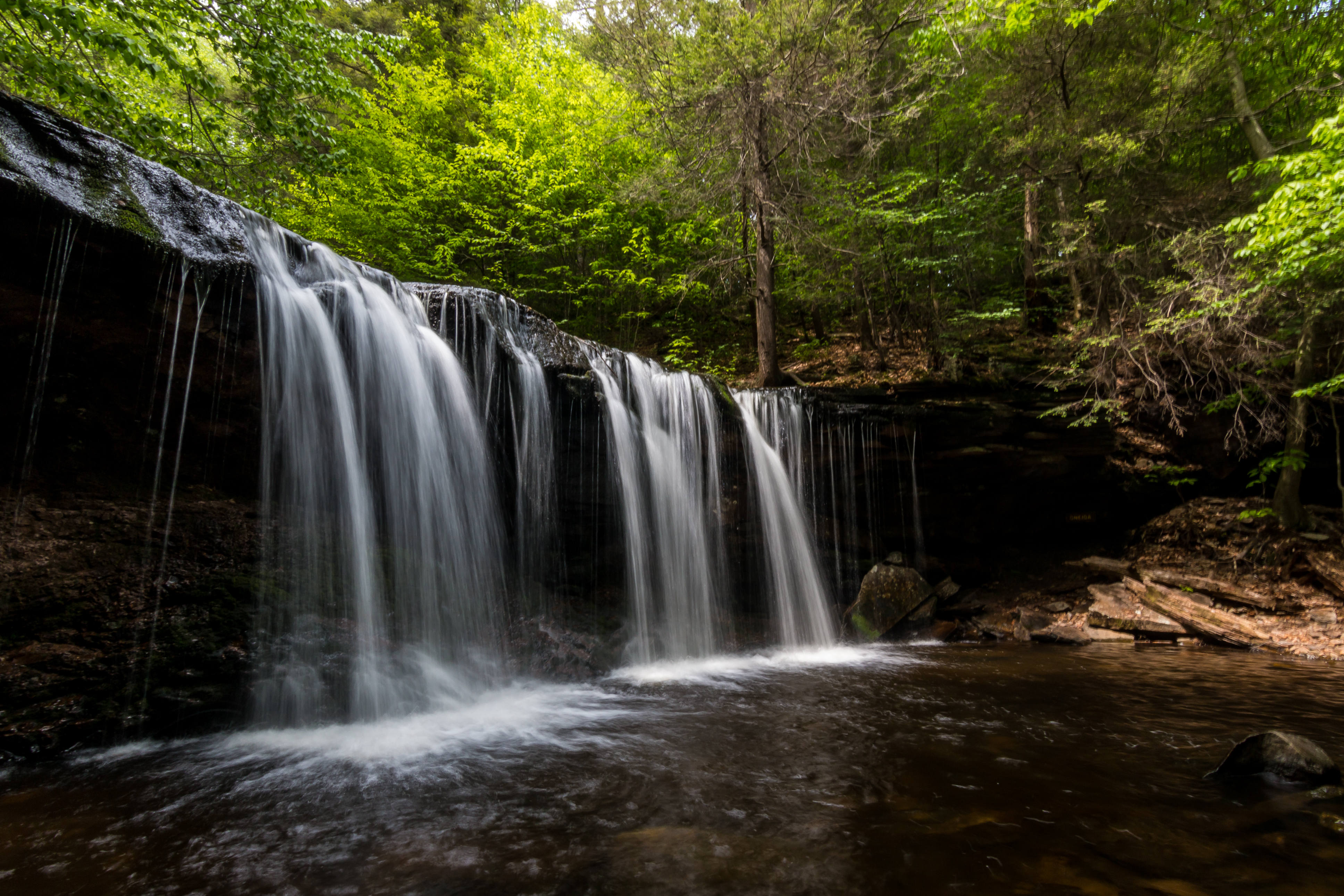 A waterfall in Ricketts Glen State Park