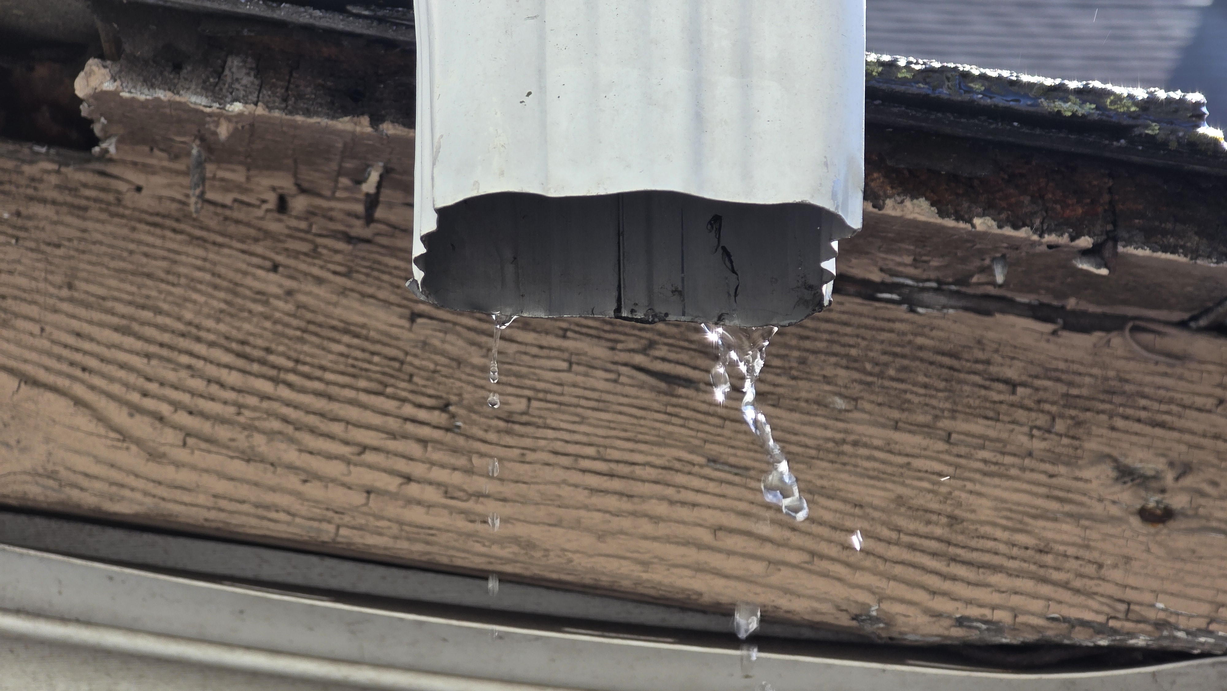 Samsung Galaxy S25 Ultra camera samples