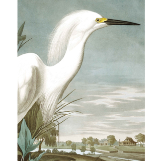 A wallpaper panel featuring a picture of a heron