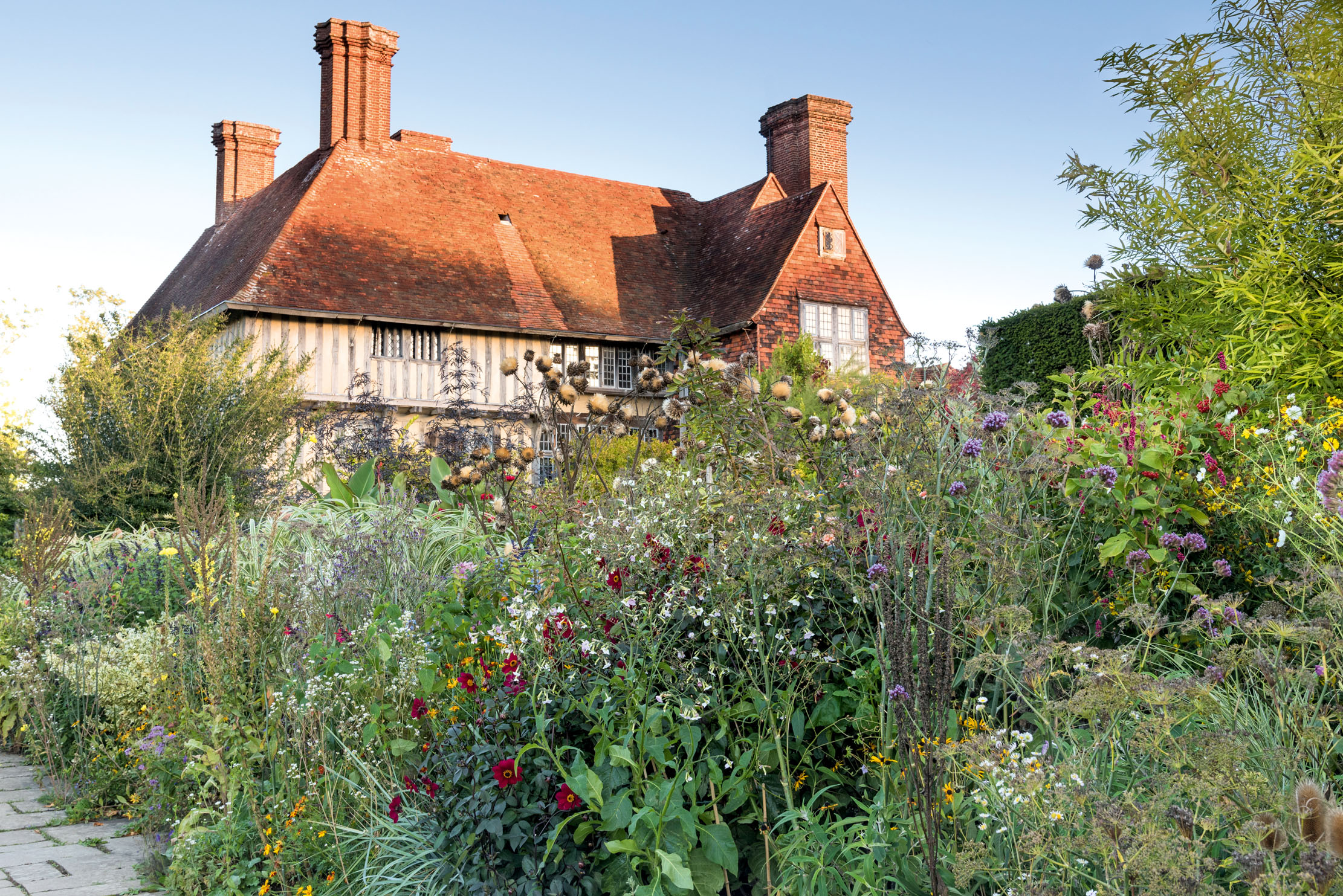 The Long Border, with bronze seedheads of globe artichoke (Cynara cardunculus Scolymus Group), the maroon single-flowered Dahlia ‘Dove Grove’, purple Verbena bonariensis, Miscanthus sinensis ‘Malepartus’ and the silver willow, Salix alba var. sericea. Great Dixter, Northiam, Rye, East Sussex. ©Mimi Connolly