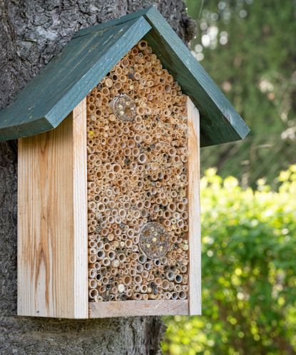 Where to place a bee hotel: tips to pick the best spot | Homes & Gardens