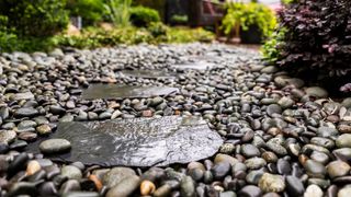 picture of slate flagstone with pebbles and bushes around them