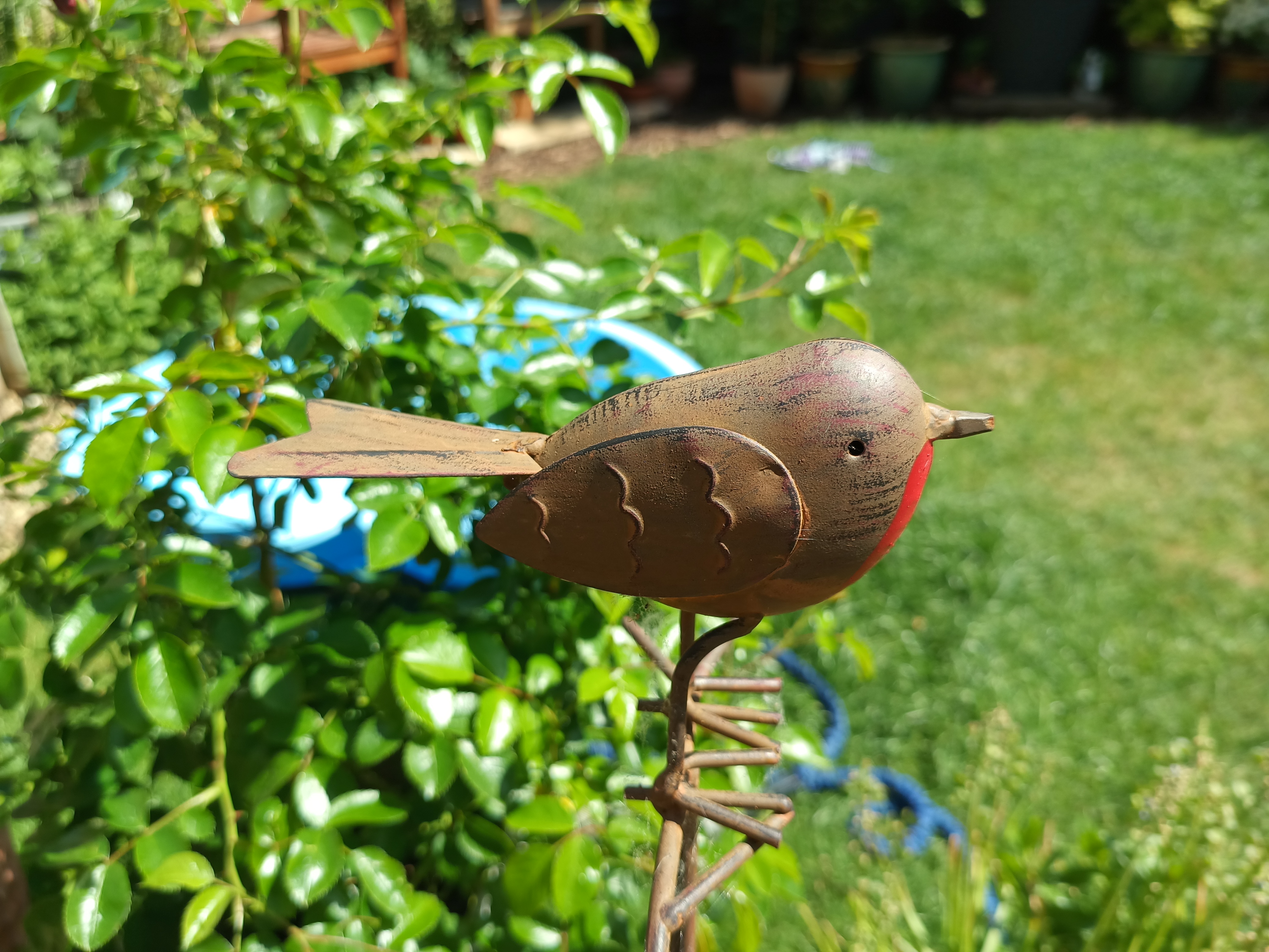 Example images from the Oukitel WP300
