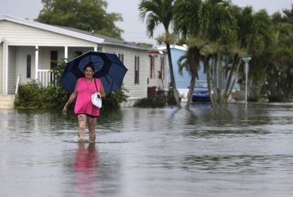 A woman walks through her flooded neighborhood in Davie, Florida, ahead of Hurricane Irma.
