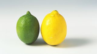 lemon and lime next to one another