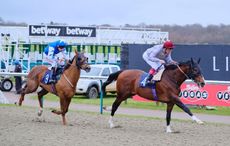 Toast-Of-New-York-Frankie-Dettori-winning-at-Lingfield-Park-today-.jpg