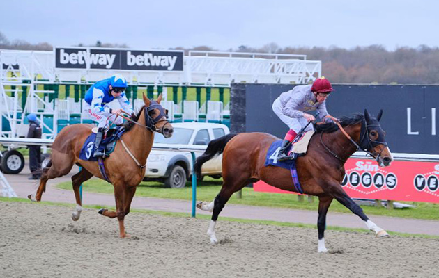 Toast-Of-New-York-Frankie-Dettori-winning-at-Lingfield-Park-today-.jpg
