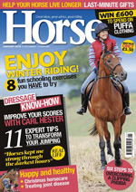 horse-cover5.jpg