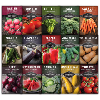 A multi-pack assortment of vegetable garden seed sachets