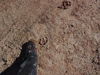Tracks Near Utah's Mars Desert Research Station